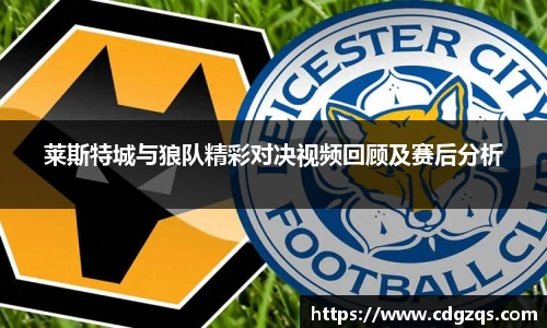 莱斯特城与狼队精彩对决视频回顾及赛后分析